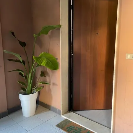 Flamingo Quartu *